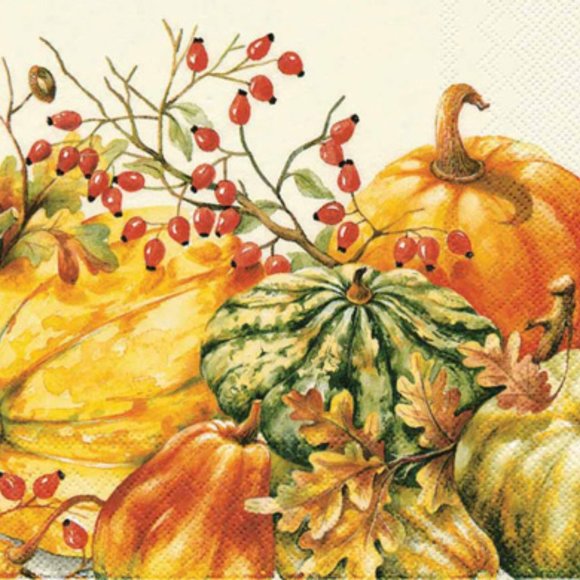 CALABAZA CREAM COCKTAIL NAPKIN - Picture 1 of 2